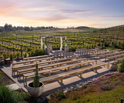 Danza del Sol Winery