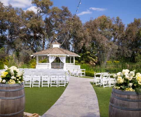 The Orchard