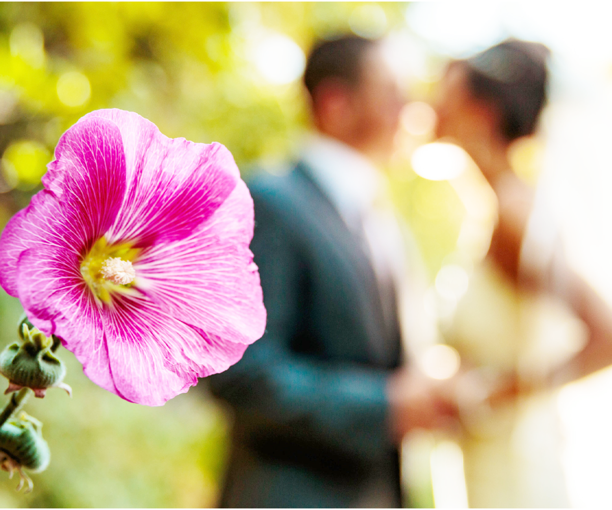 ust minutes away from Downtown Boulder, Boulder Creek by Wedgewood Weddings is tucked away in the mountains, yet easily reachable from Denver, Adams, Gilpin, and Jefferson Counties.