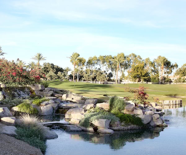 Ocotillo Oasis by Wedgewood Weddings Wedding Venue Arizona