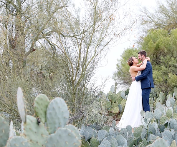Palm Valley by Wedgewood Weddings - Wedding Venue Arizona