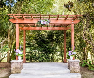 Redwood Canyon By Wedgewood Events