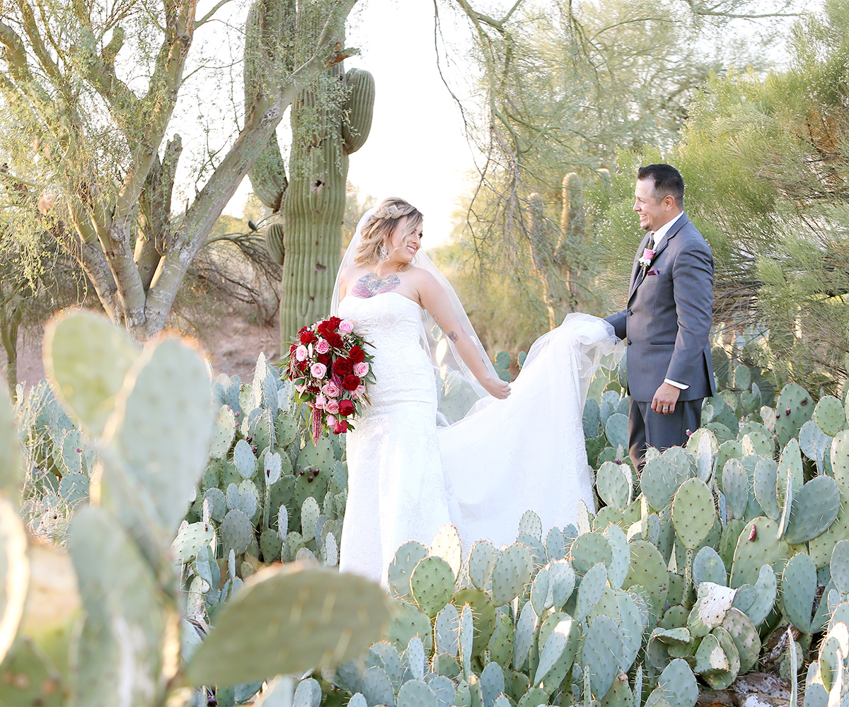Palm Valley by Wedgewood Weddings Cactus Garden
