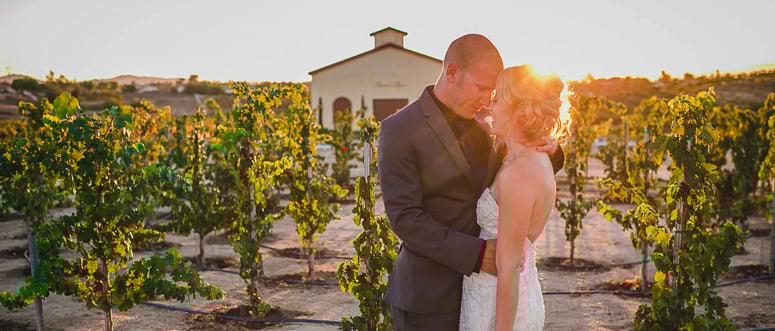 Danza del Sol by Wedgewood Weddings-14