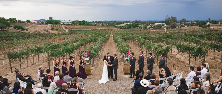 Danza del Sol by Wedgewood Weddings-19