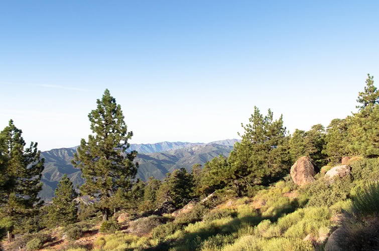 Sespe Wildnerness in Los Padres National Forest CA