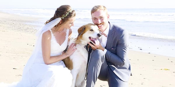 Real Wedding - Lillian and Josh at Pacific View Tower by Wedgewood Weddings