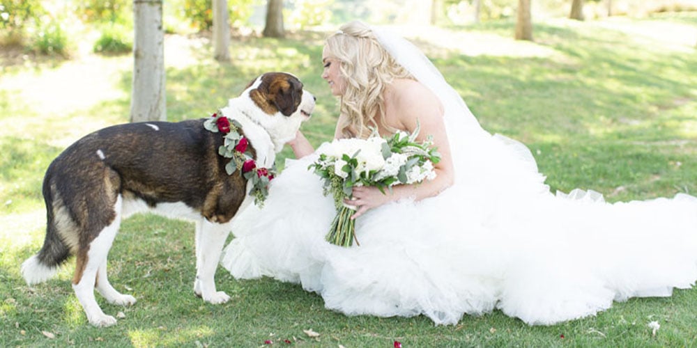 Should You Include Your Pooch in Your Wedding Party