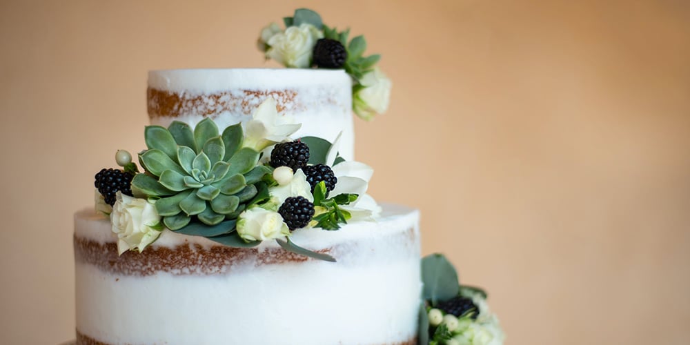 Wedding Cake with Succulents and Black Berries
