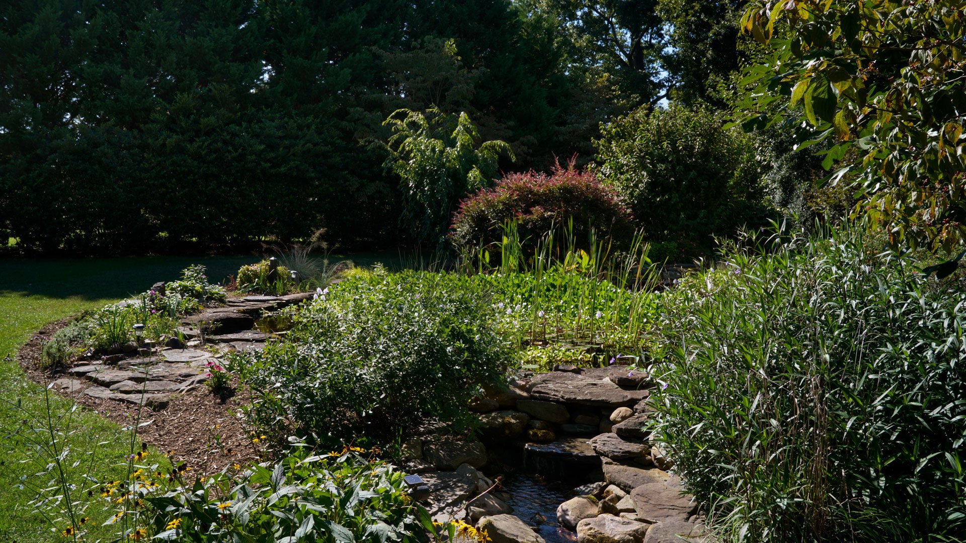 17 - Alexander Homestead by Wedgewood Weddings - Heritage Lawn - Cocktail Hour