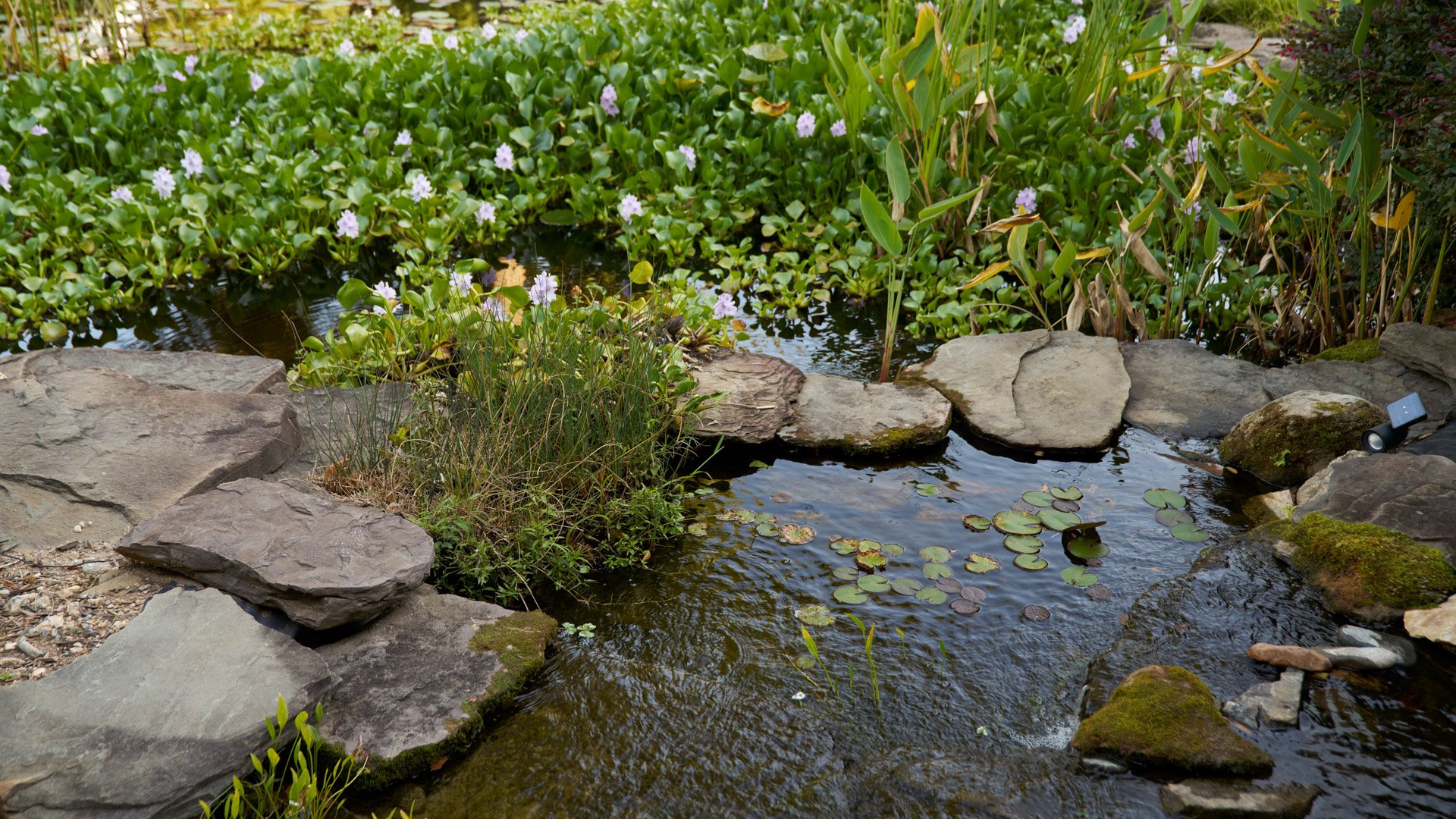30 - Alexander Homestead by Wedgewood Weddings - Heritage Lawn - Cocktail Hour