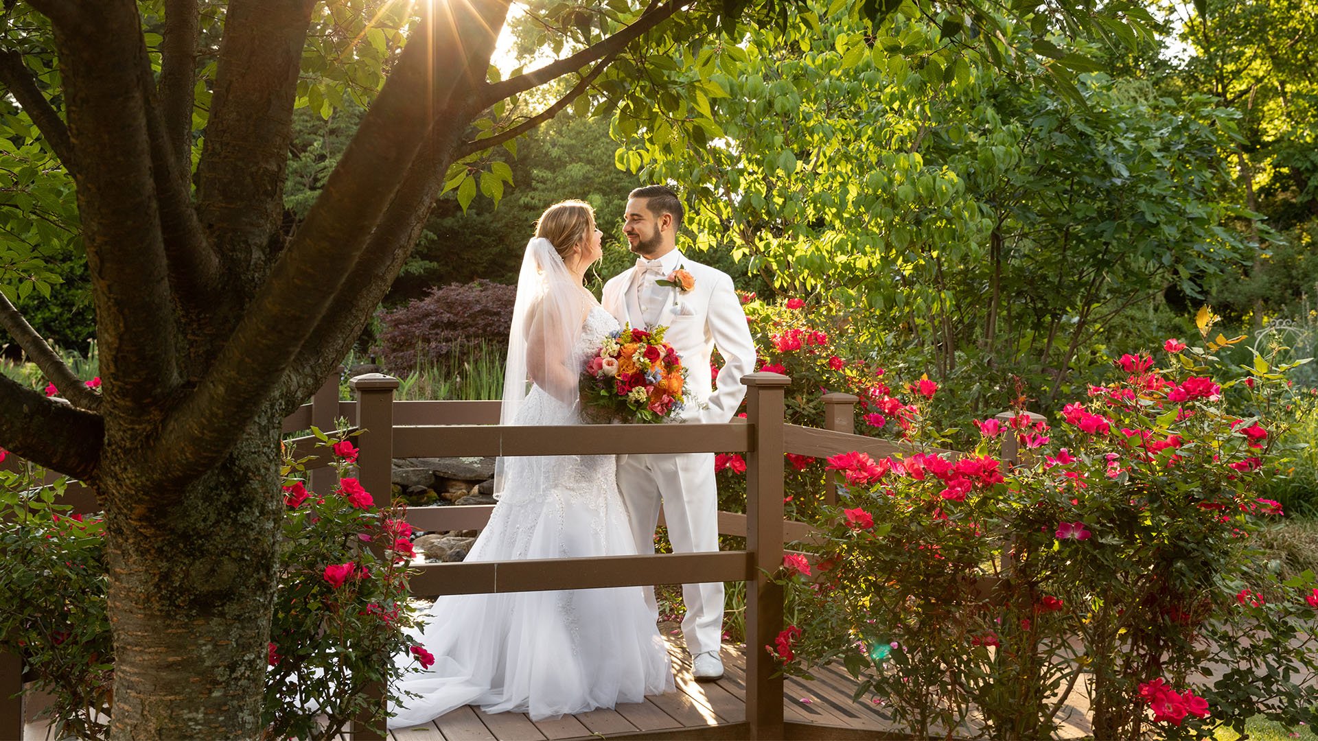 Couple on wooden bridge surrounded by vibrant red roses and lush gardens at Alexander Homestead wedding venue