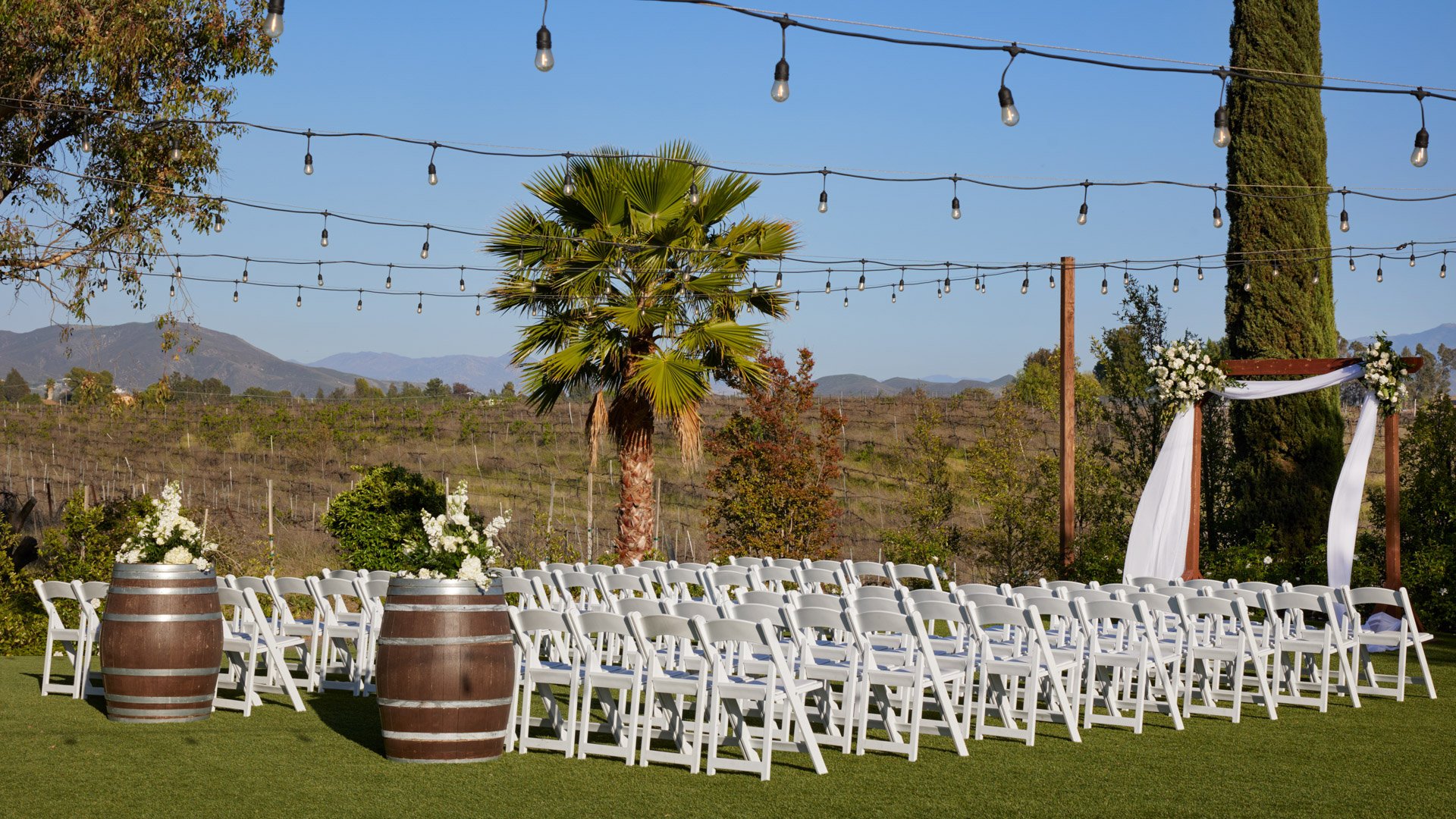 White ceremony chairs and wine barrel florals under string lights with vineyard and palm tree views at Bel Vino Winery.