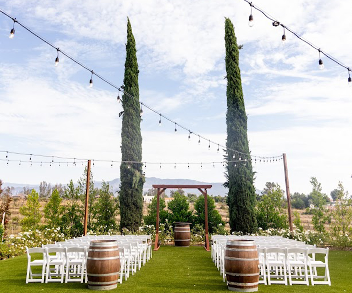 Vineyard ceremony at Bel Vino Winery by Wedgewood Weddings 2