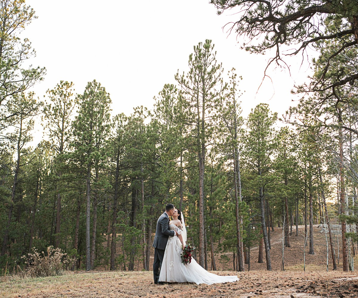 Forest photo op - Black Forest by Wedgewood Weddings