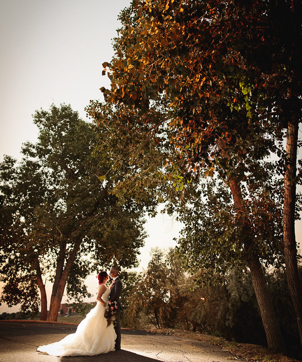 Couple under tree - Brittany Hill by Wedgewood Weddings