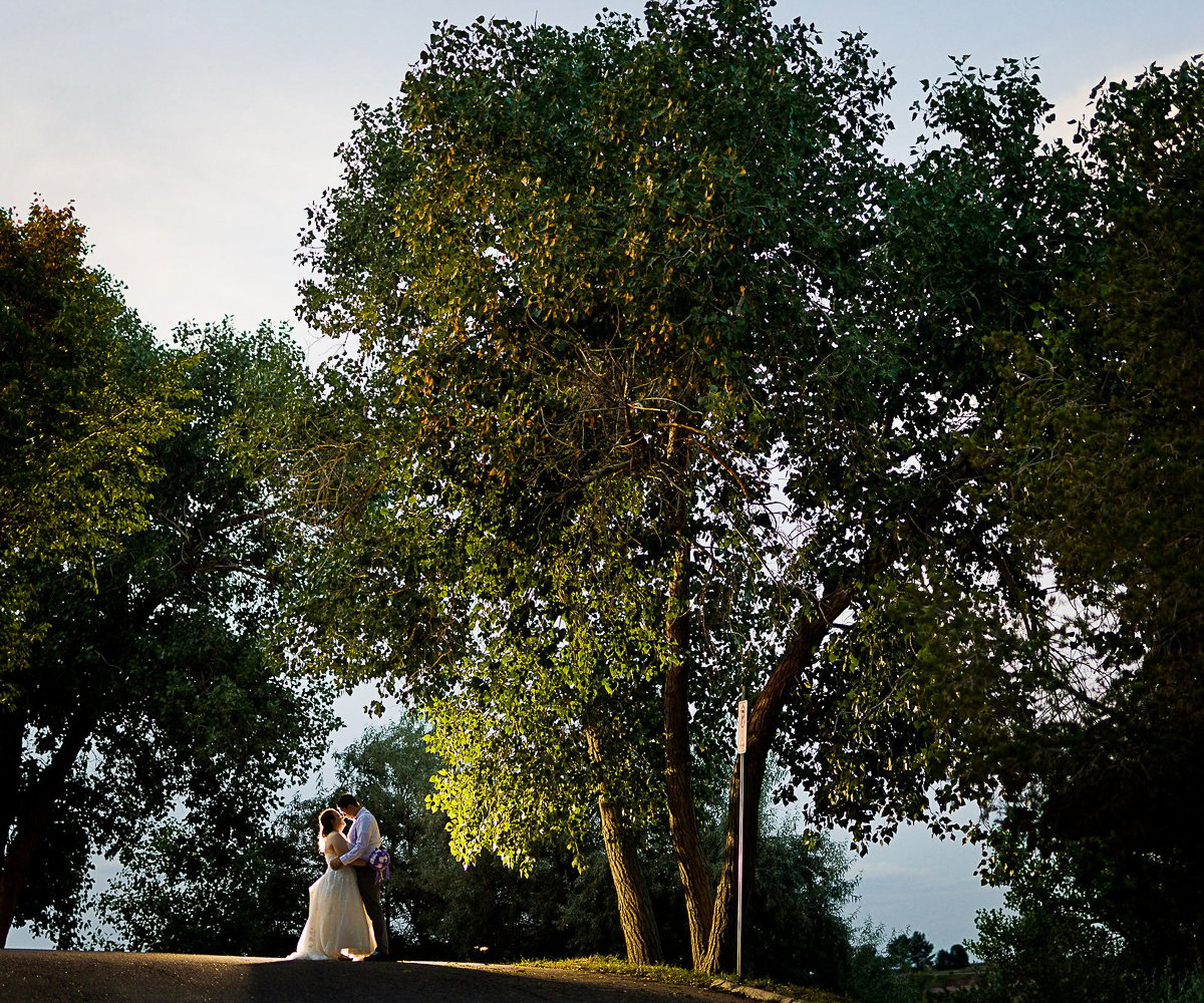 Tree photo op - Brittany Hill by Wedgewood Weddings