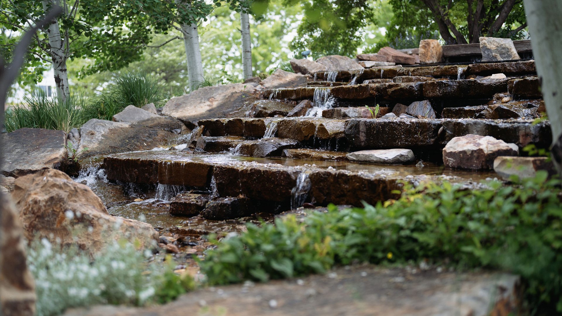 Brookside Gardens by Wedgewood Weddings (11)