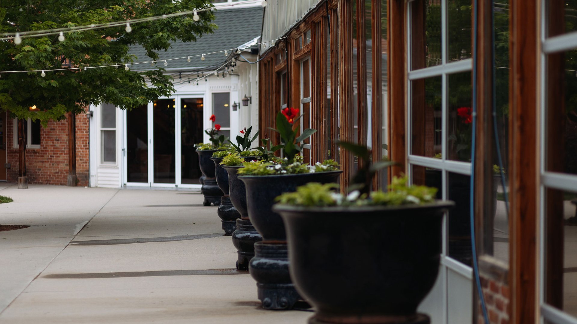 Brookside Gardens by Wedgewood Weddings (19)