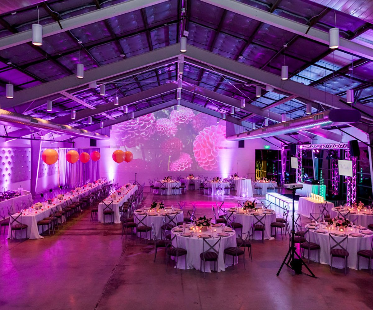 Lavish celebration with pink accent lighting and elegant decor - Clayton House by Wedgewood Weddings