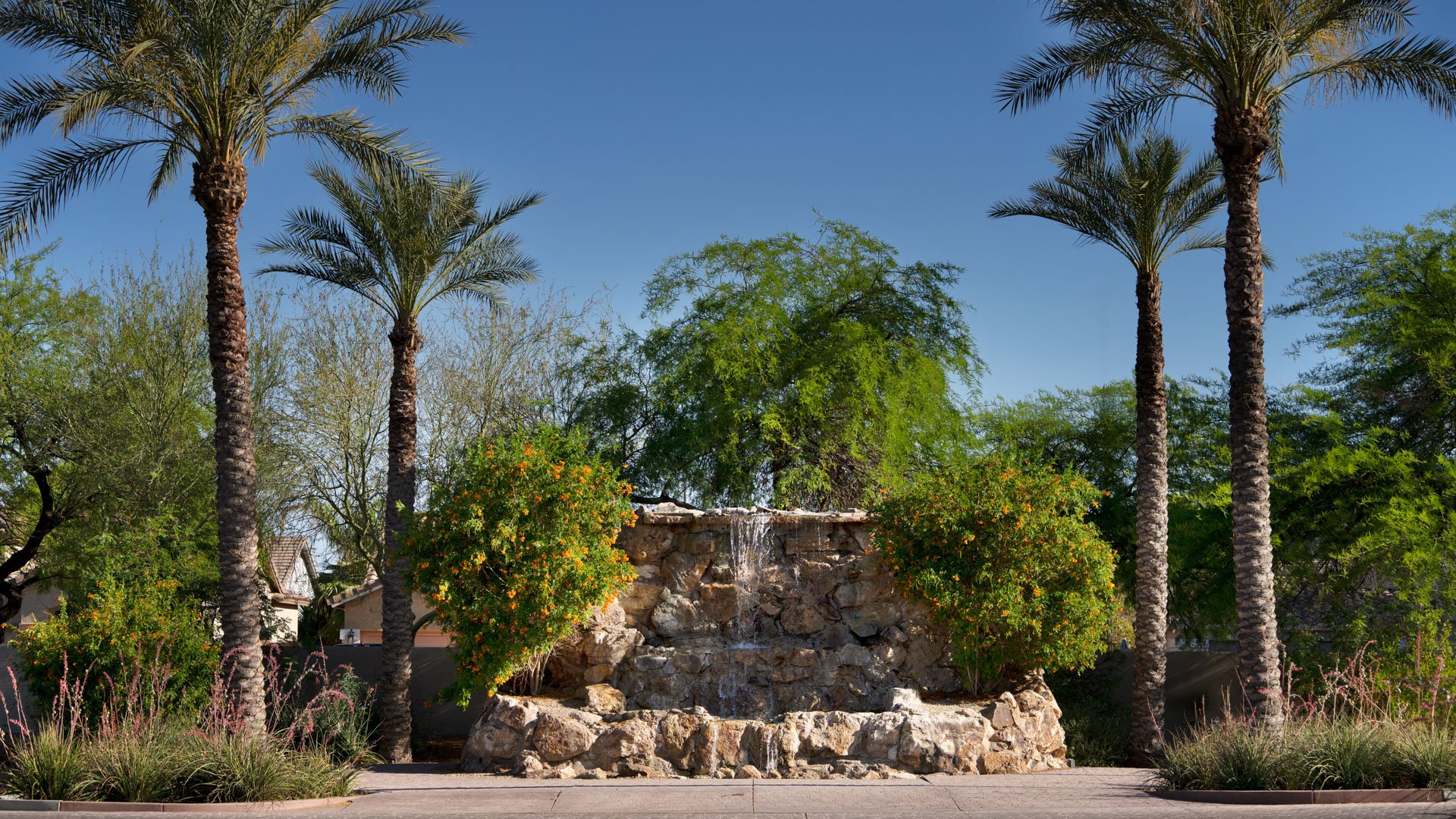 Natural stone waterfall surrounded by palm trees and desert landscaping at Colby Falls wedding venue in Arizona.