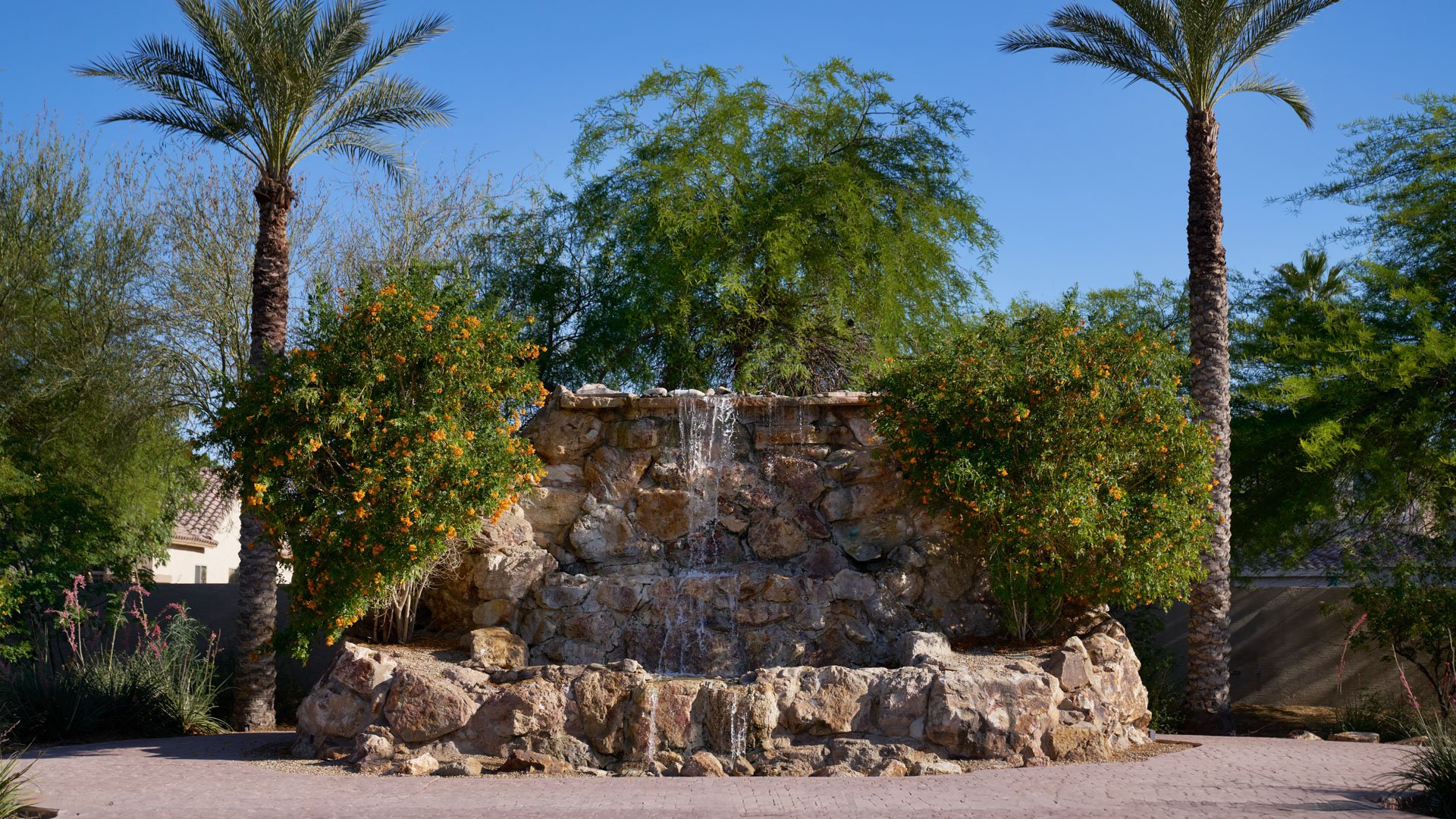 Natural stone waterfall surrounded by palm trees and desert landscaping at Colby Falls wedding venue in Arizona.