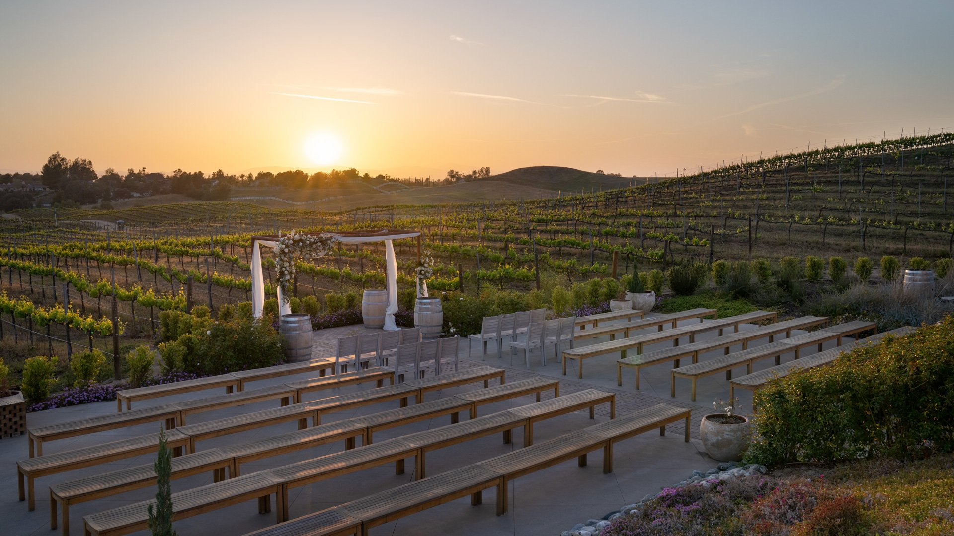 Outdoor wedding ceremony at Danza del Sol Winery in Temecula, CA, with rustic wooden benches, floral arch, and vineyards glowing at golden hour.