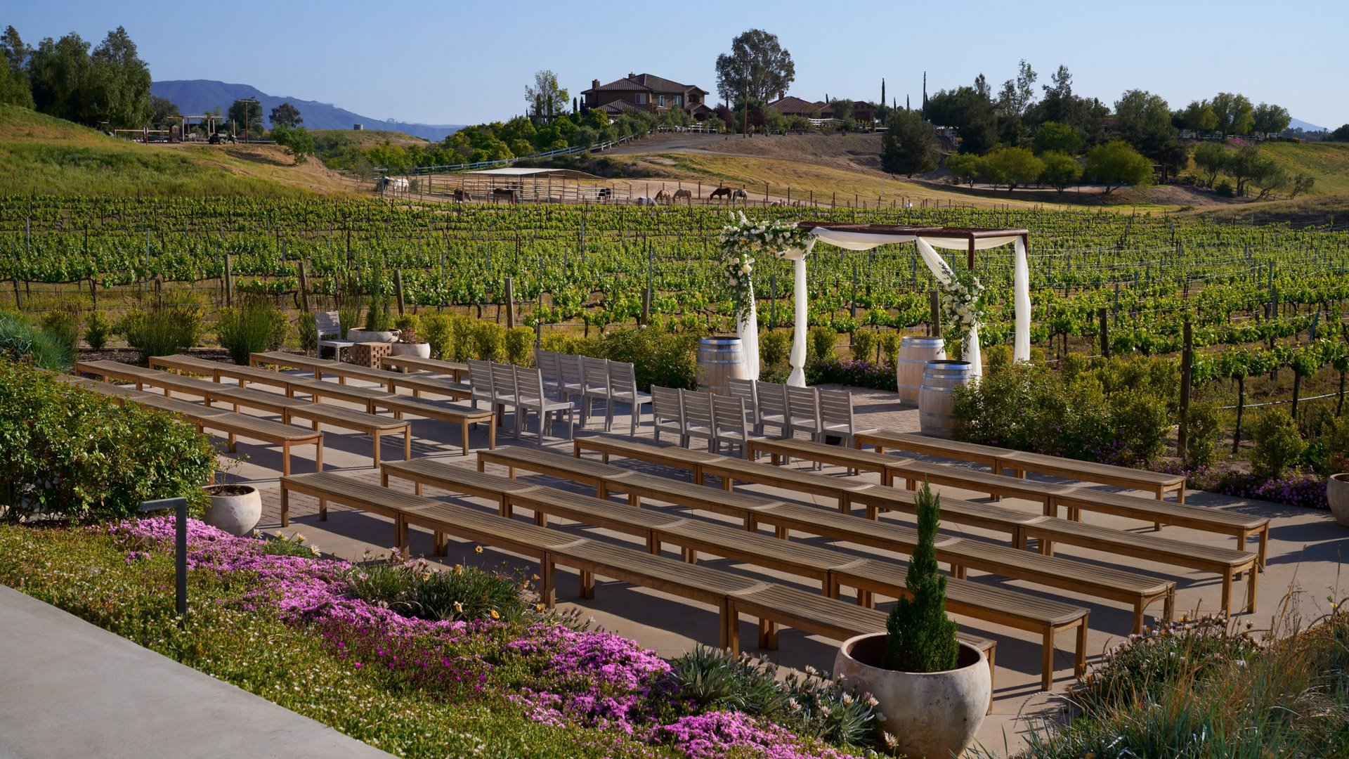 Danza del Sol Winery outdoor wedding ceremony site in Temecula, CA, surrounded by vineyards, wooden benches, and a flower-decorated arbor.