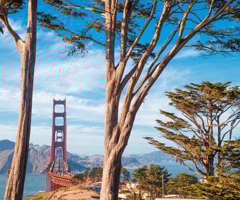 Golden Gate Club