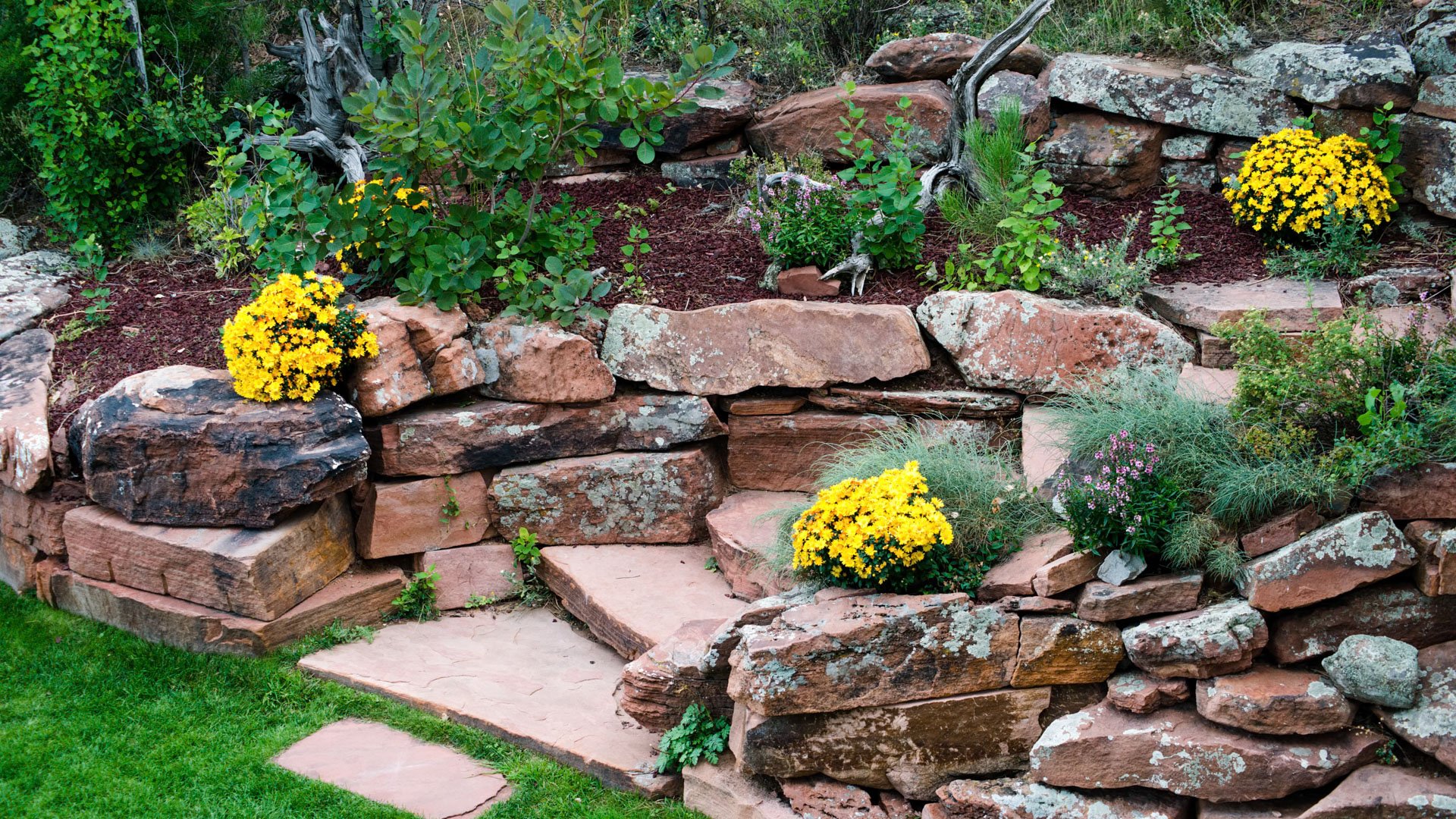 Terraced red stone rock garden with bright yellow mums, decorative landscaping, and stone pathway on the grounds of Lionscrest Manor in Lyons, Colorado
