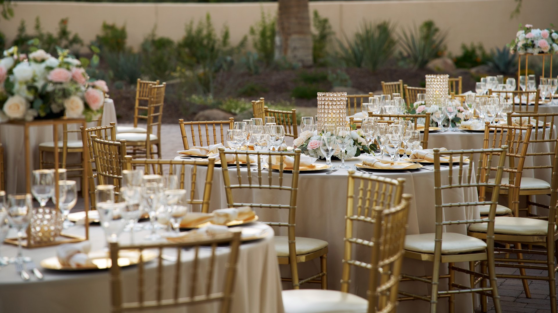 17 - Secret Garden - SEGA - Back Garden - Reception