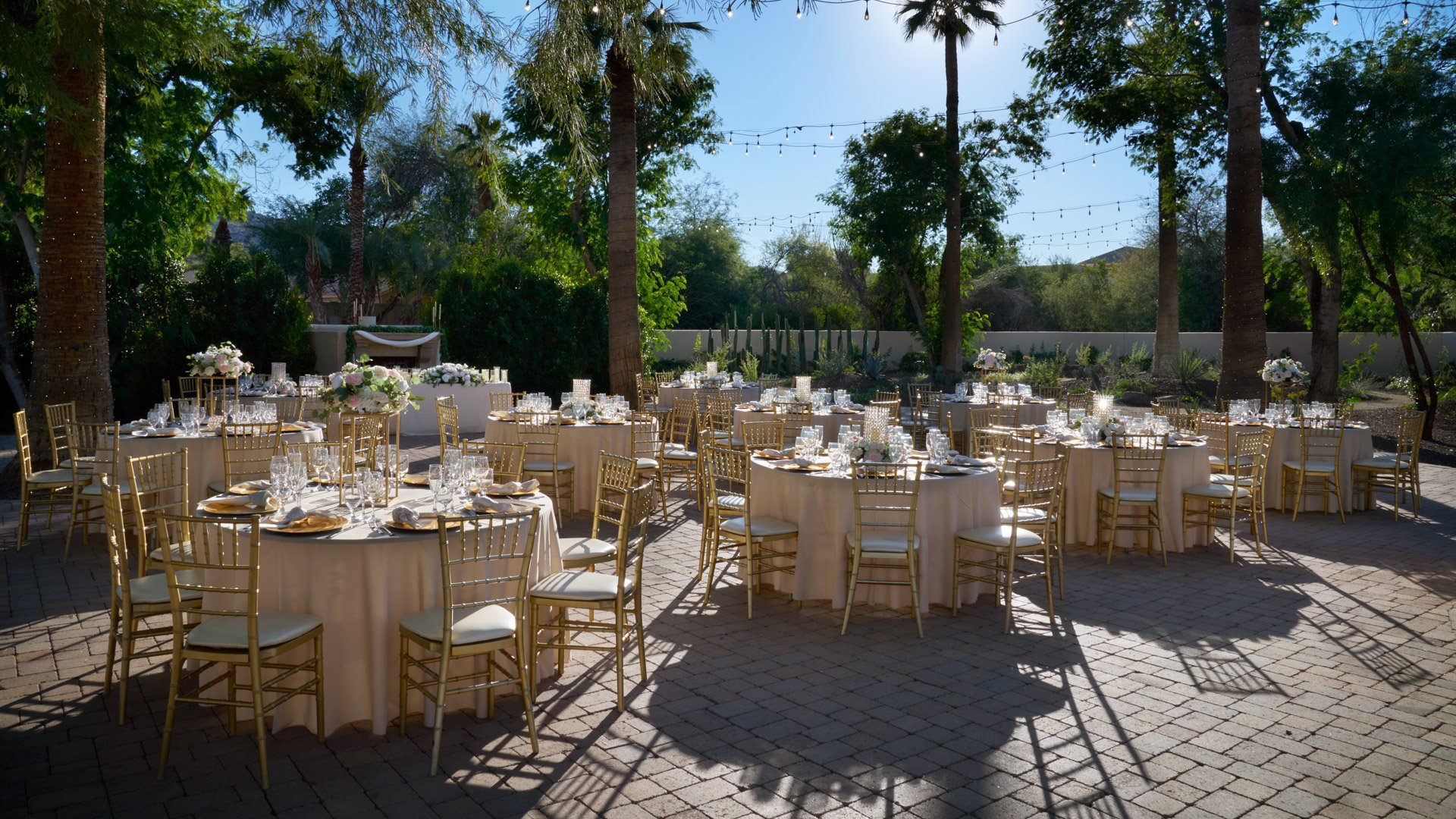 36 - Secret Garden - SEGA - Back Garden - Reception