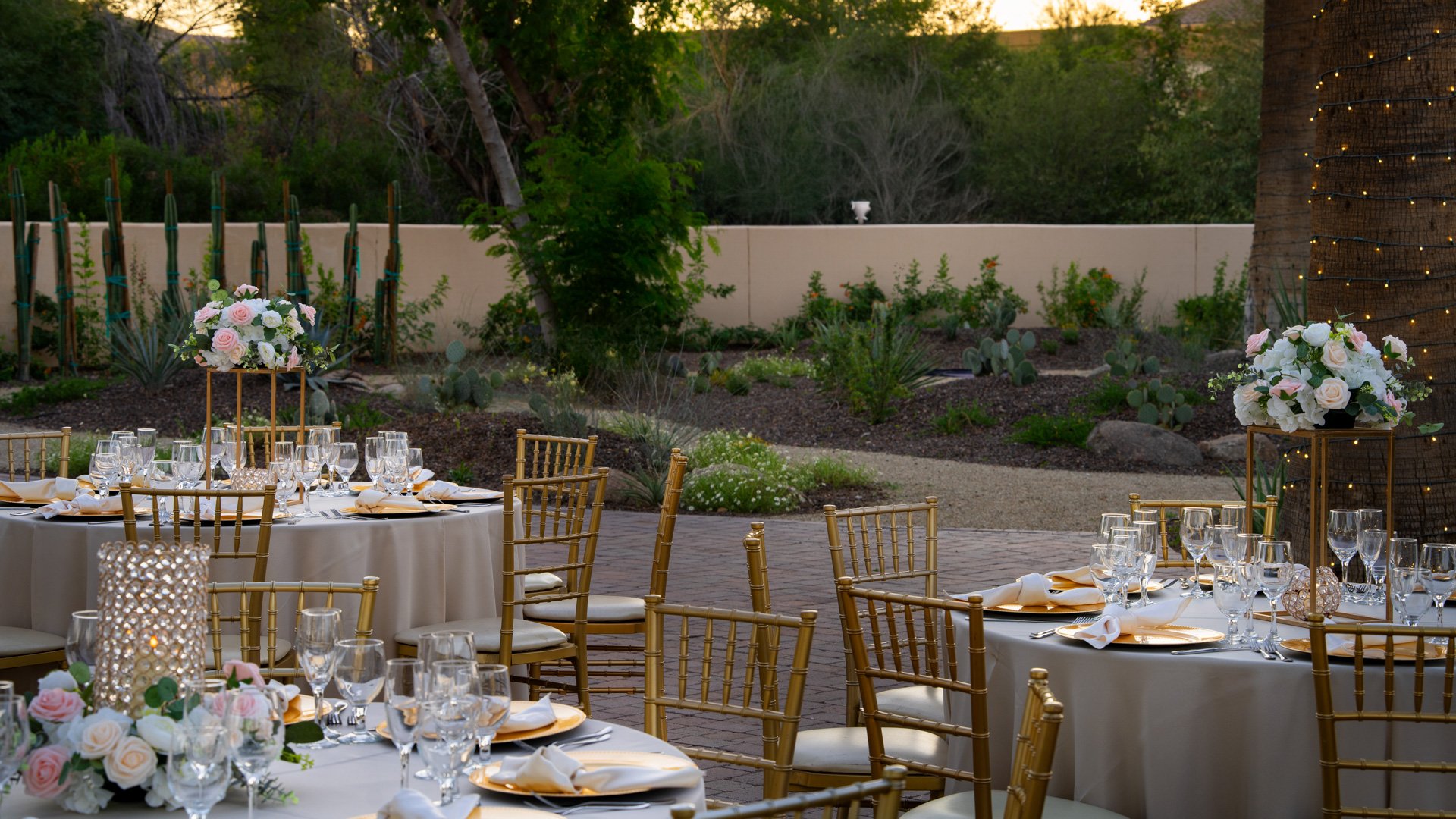 39 - Secret Garden - SEGA - Back Garden - Reception