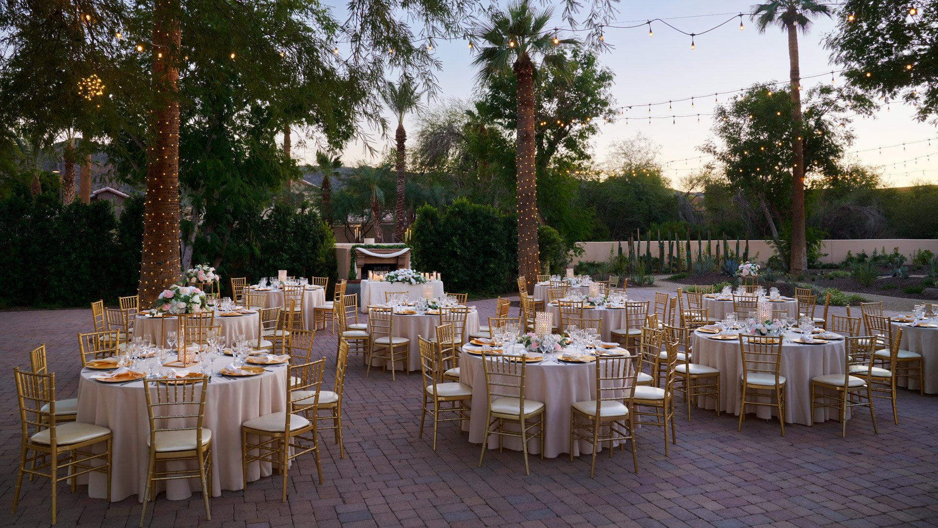 5 - Secret Garden - SEGA - Back Garden - Reception