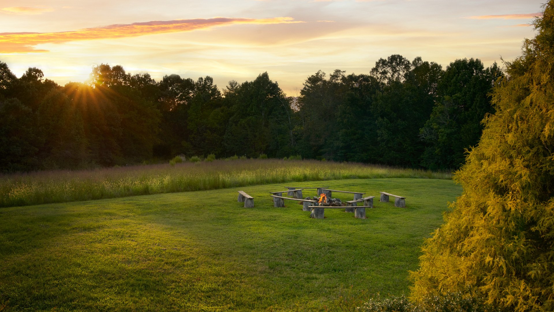 12 - Spinning Leaf - SPIN - Overview - Outdoor Location