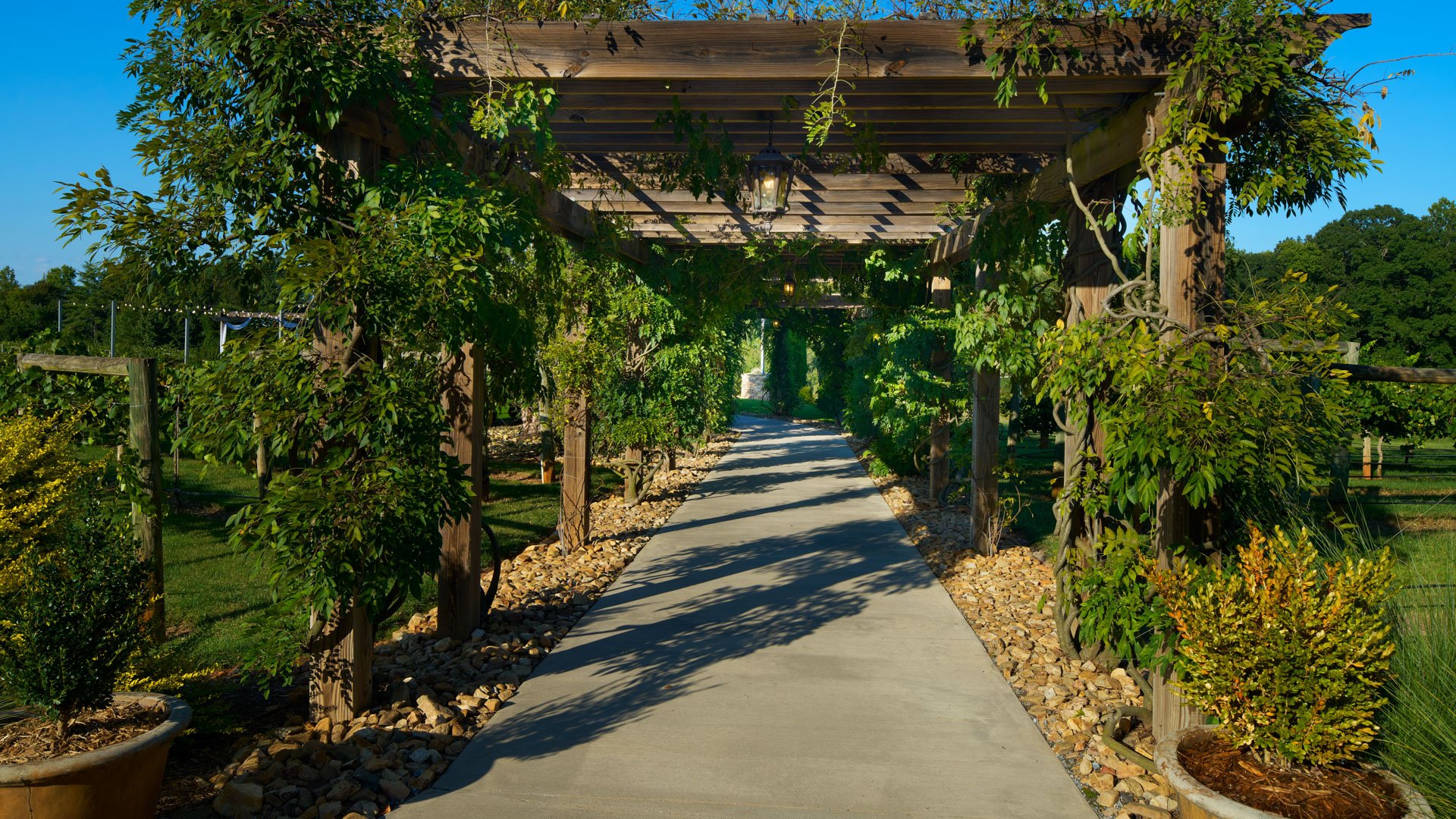 7 - Spinning Leaf - SPIN - Vineyard Garden - Ceremony