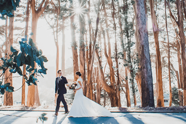 31-InTheTrees+D_Golden+Gate+Club+Wedding_Buena+Lane+PhotographyGoldenStateClubatthePresidio