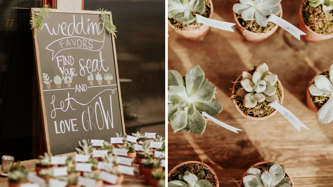 succulent-party-favor-table-assignment