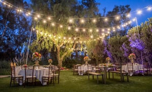 A beautiful night wedding reception, the Orchard, Murrieta