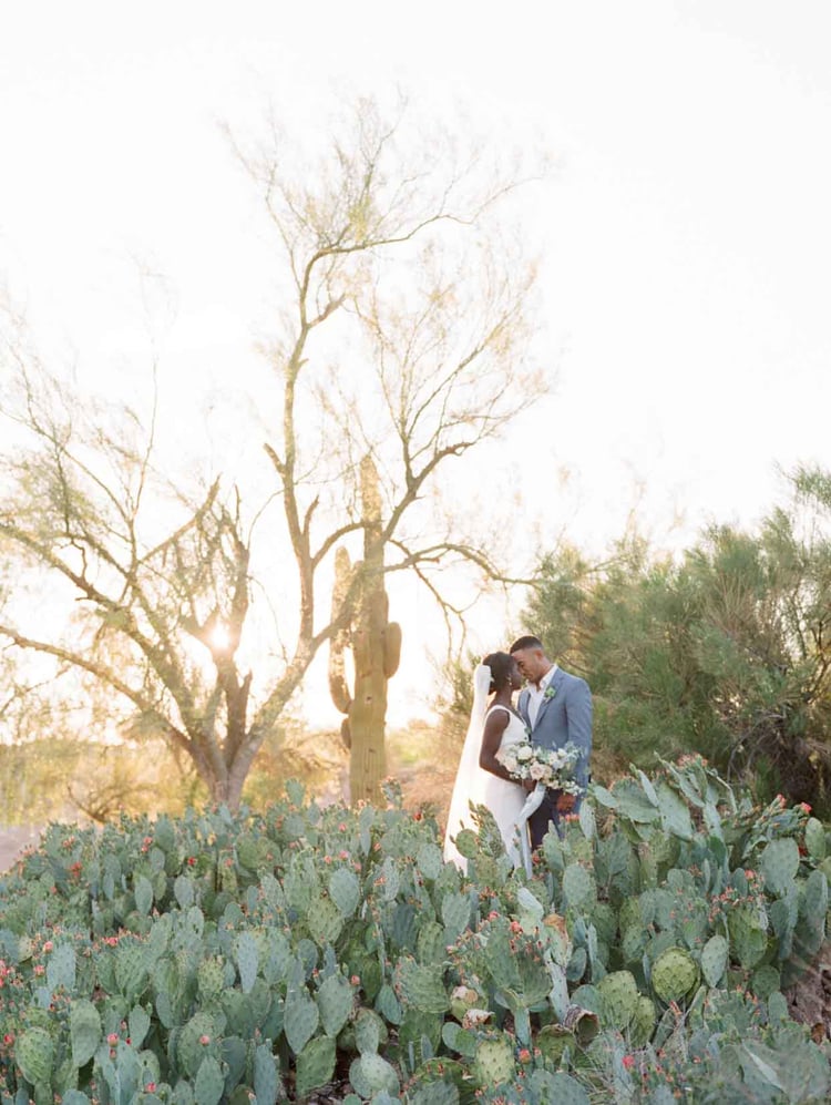 Les beaux jeunes mariés dans le jardin de cactus à Palm Valley par.  Mariages Wedgewood