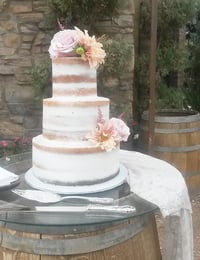 Naked Cake From Bo Cakes