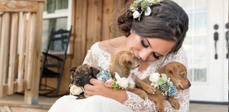 National Puppy Day is a Wonderful Day to Get Married