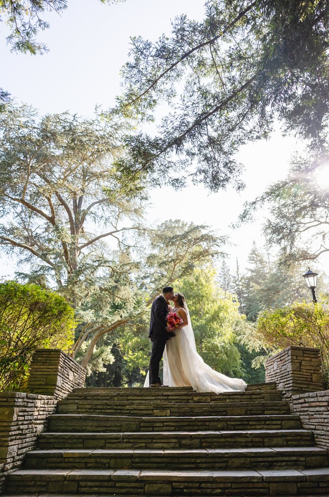 Stephanie and Dominic- 0348-2