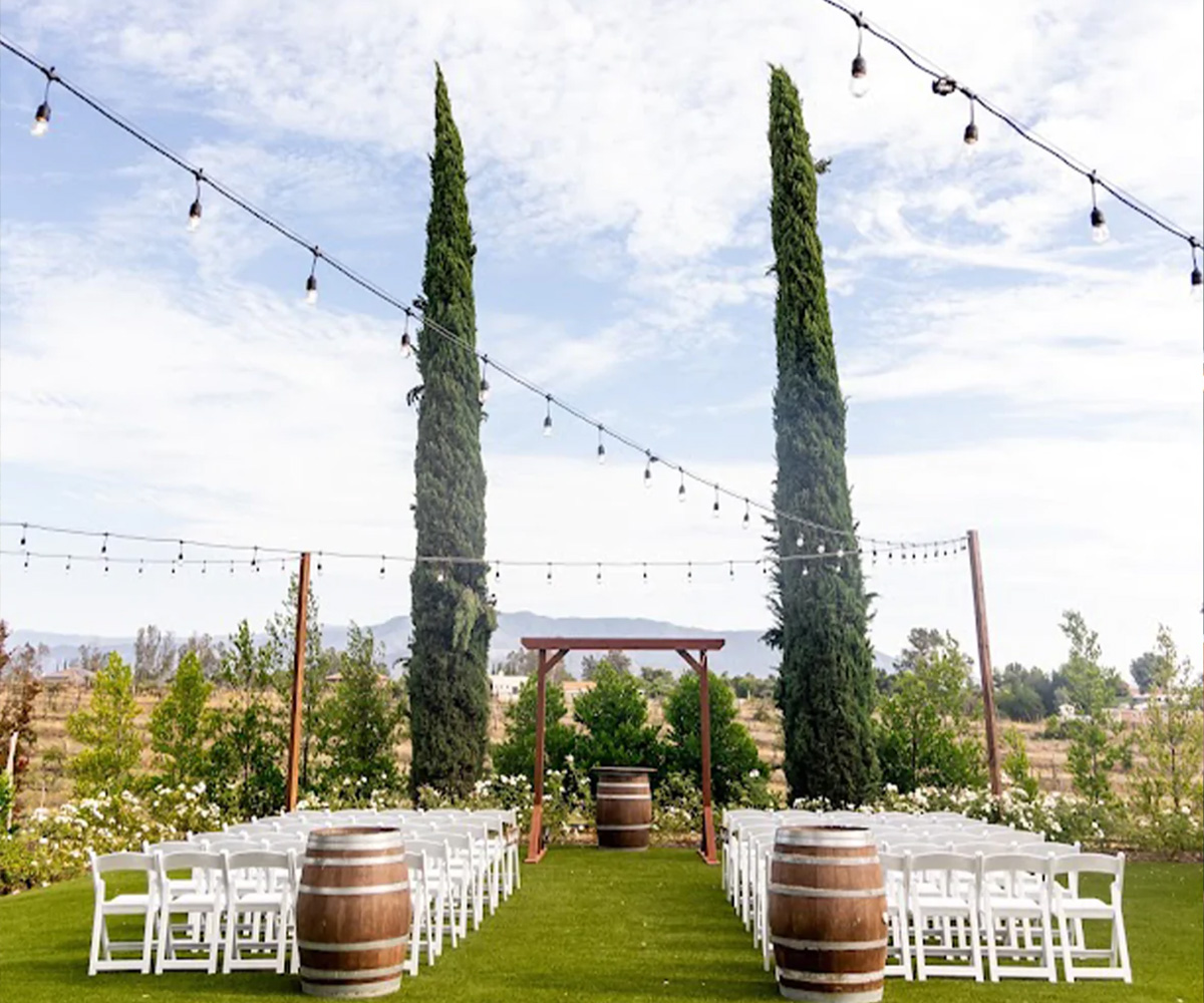 Vineyard ceremony at Bel Vino Winery by Wedgewood Weddings