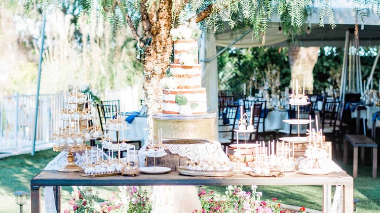A stunning naked wedding cake and cake pops