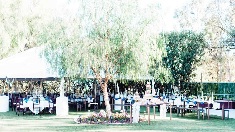 Elegant Outdoor Wedding Reception at The Orchard
