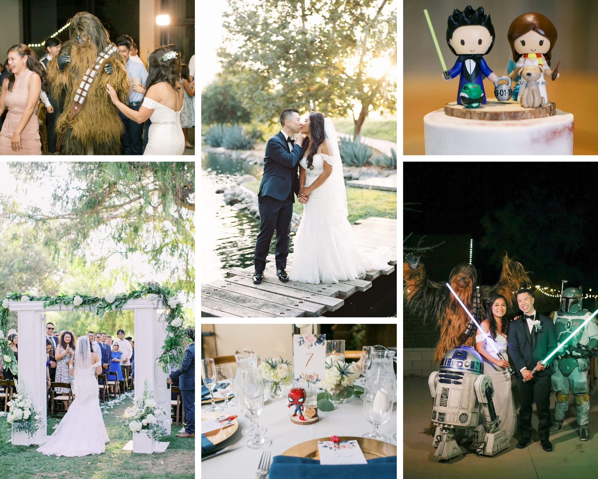 galwaydowns-starwars-whimsical wedding