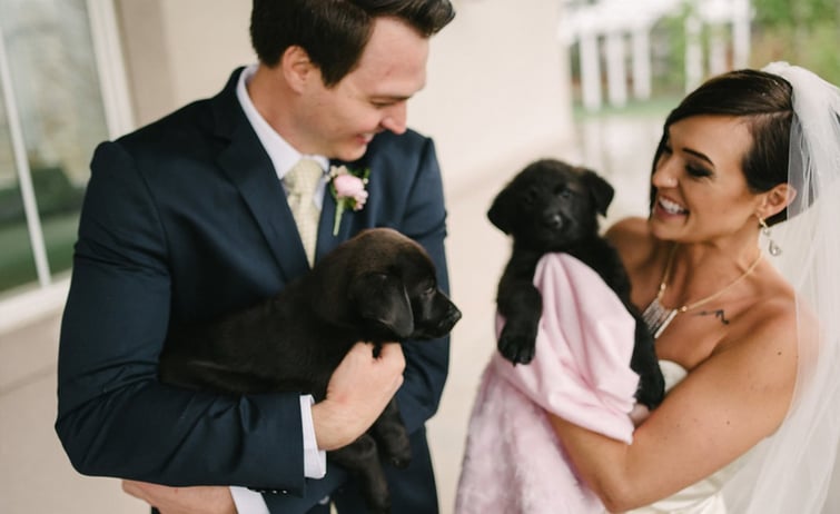 Couple with Puppies-Ken Caryl