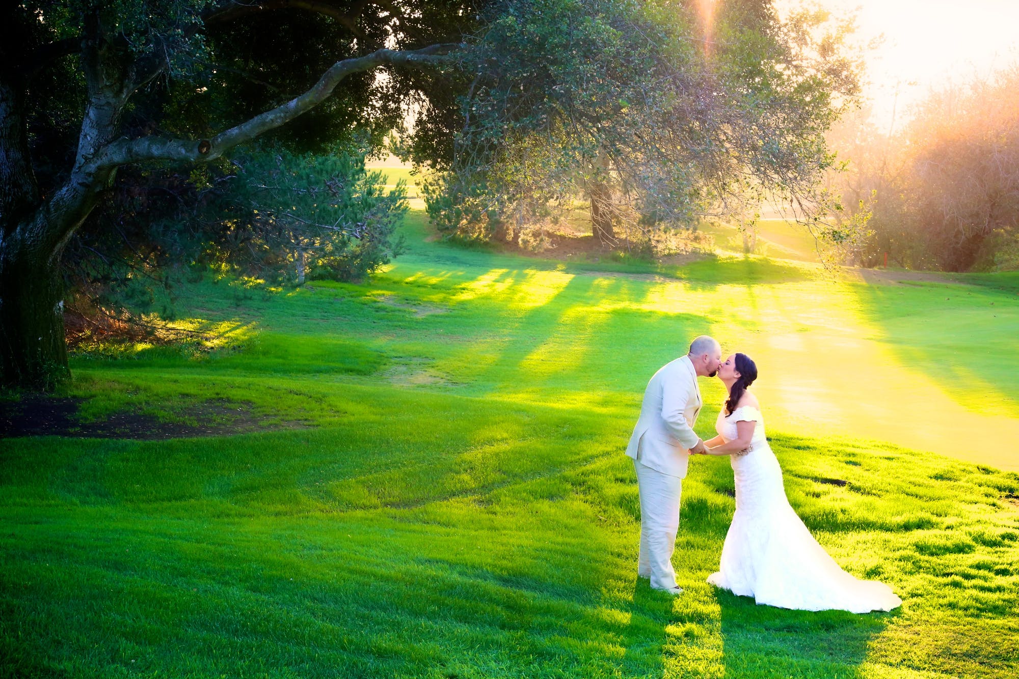 Sun-drenched kiss on a beautiful green lawn