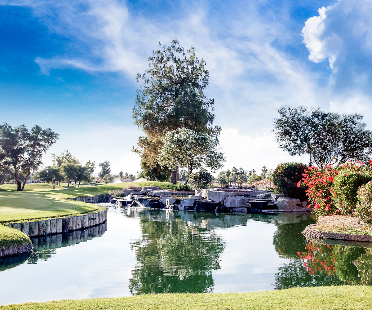Ocotillo Oasis by Wedgewood Weddings Wedding Venue Arizona